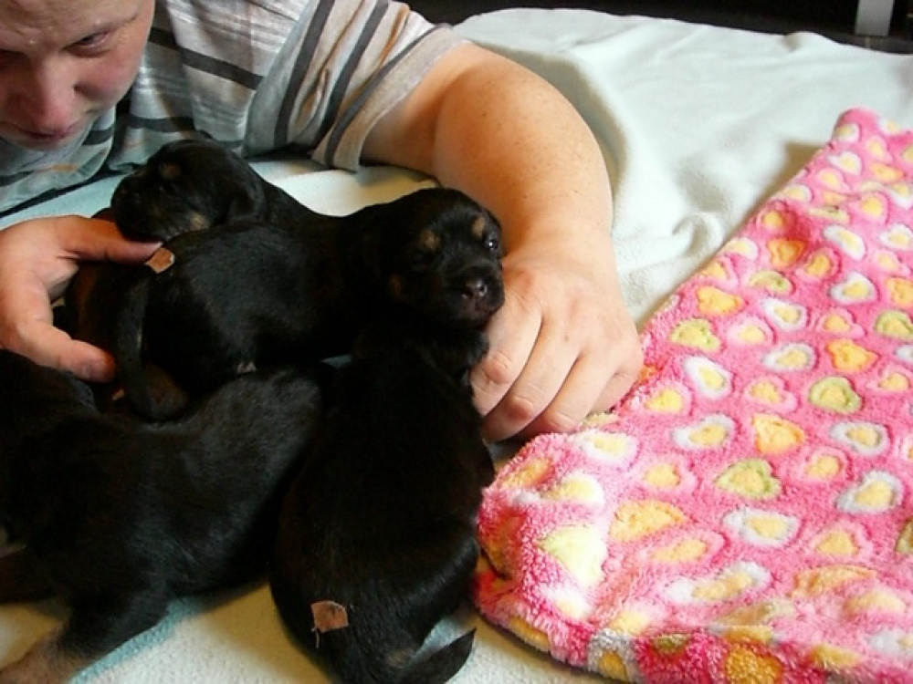 C-Wurf_am_Valentinstag_046