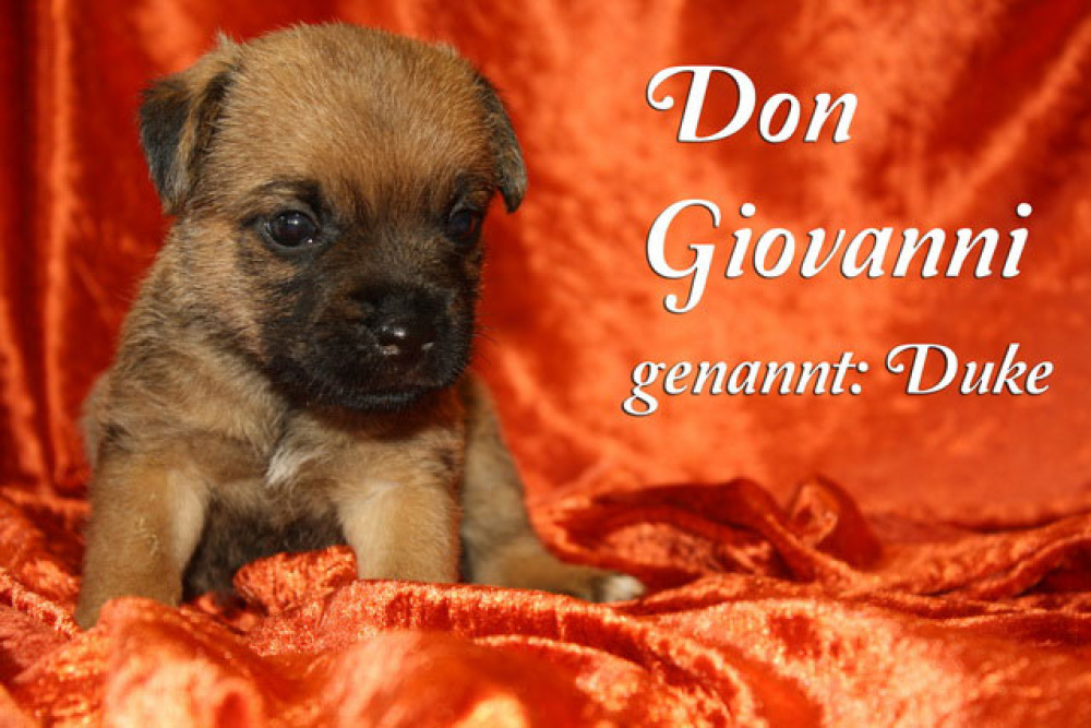 Don_Giovanni