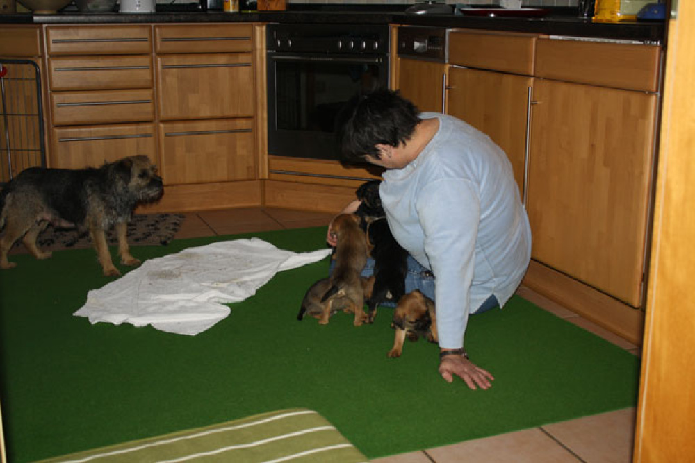 D-Wurf-5te_Woche_1_002