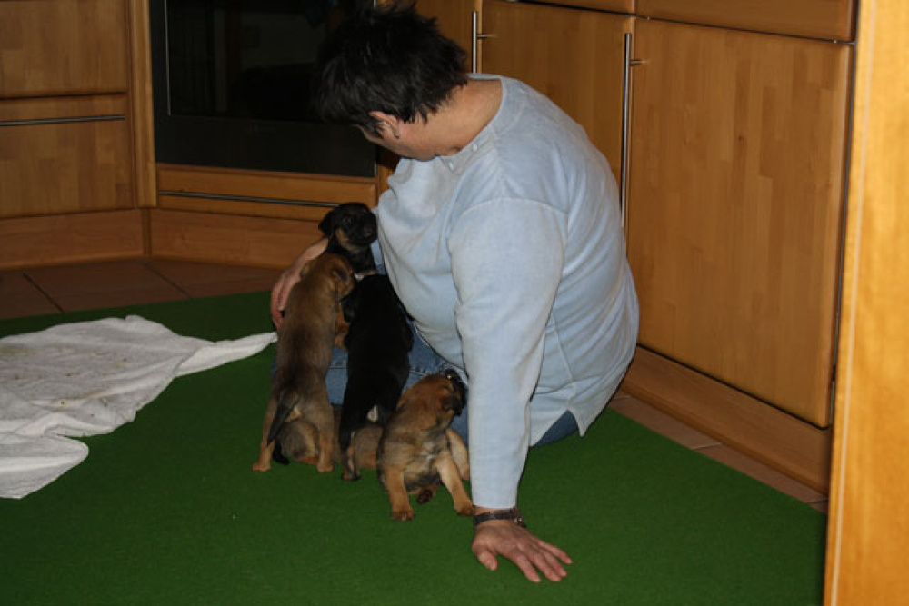 D-Wurf-5te_Woche_1_003