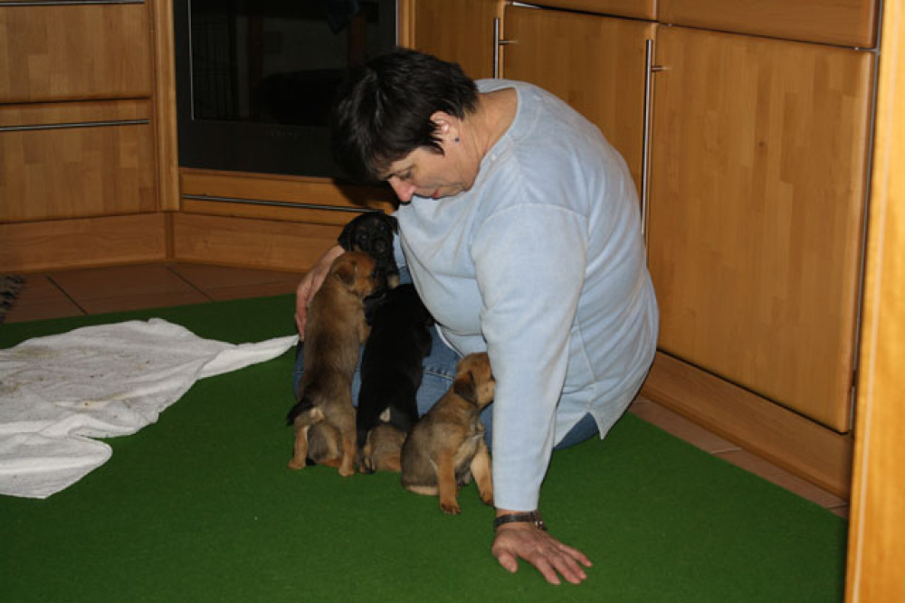 D-Wurf-5te_Woche_1_004