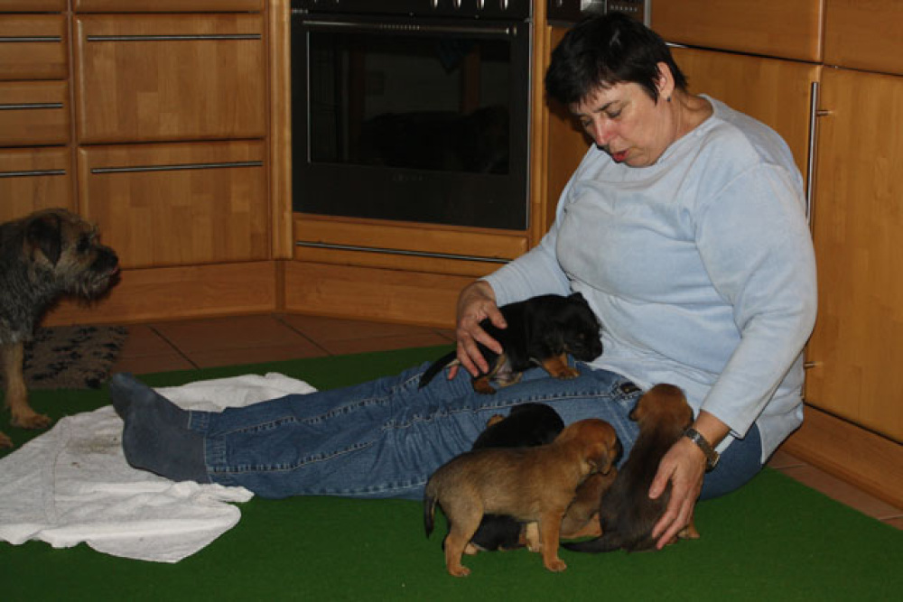 D-Wurf-5te_Woche_1_005