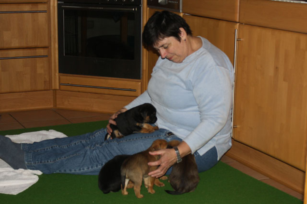 D-Wurf-5te_Woche_1_006