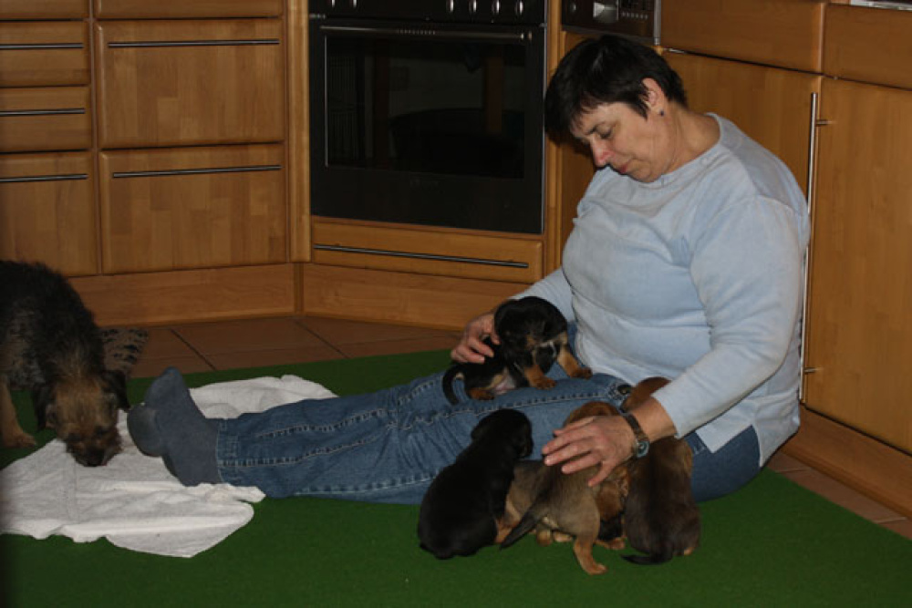 D-Wurf-5te_Woche_1_007