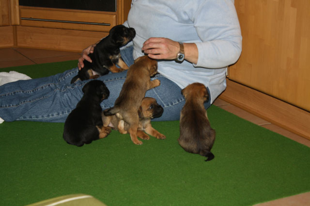 D-Wurf-5te_Woche_1_008