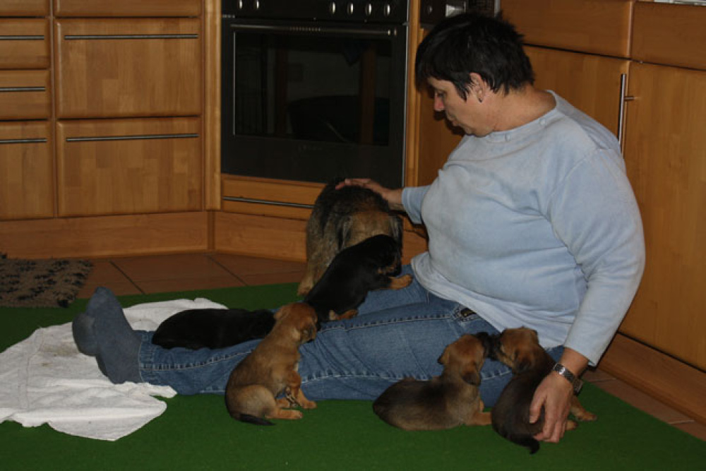 D-Wurf-5te_Woche_1_009