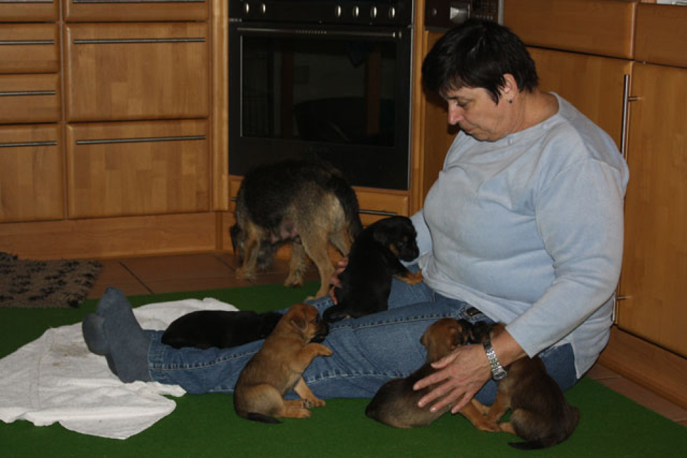 D-Wurf-5te_Woche_1_010