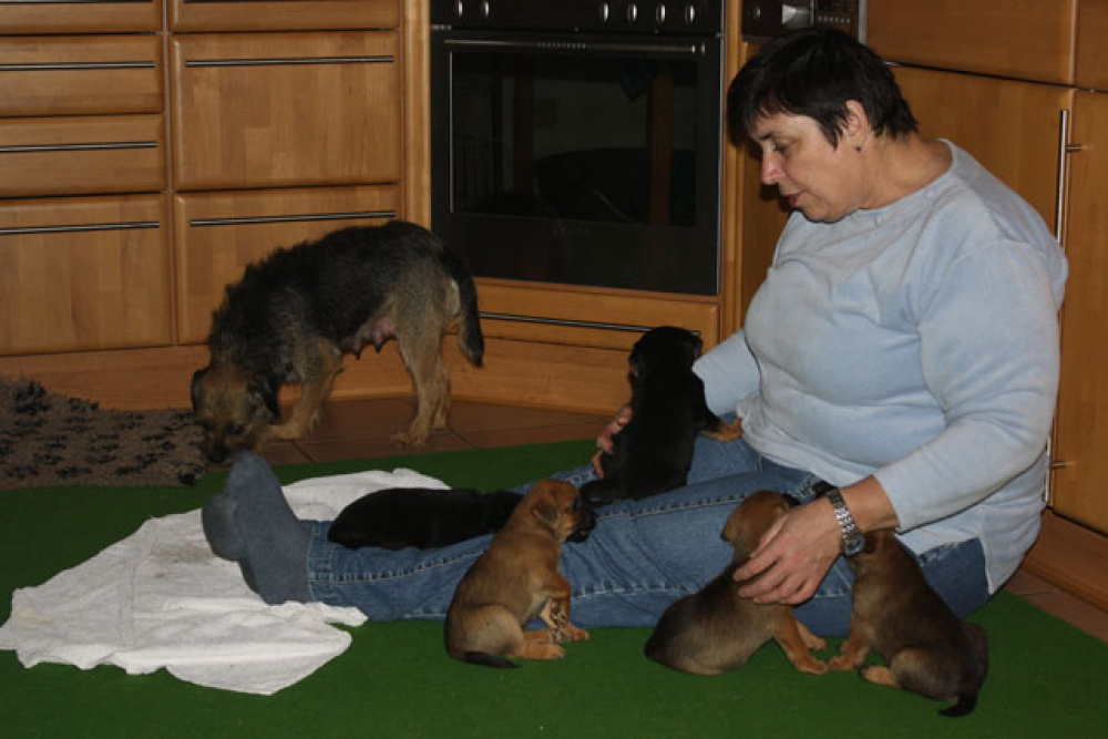 D-Wurf-5te_Woche_1_011