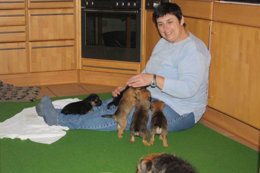 D-Wurf-5te_Woche_1_012