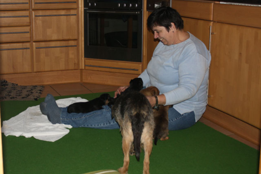 D-Wurf-5te_Woche_1_013