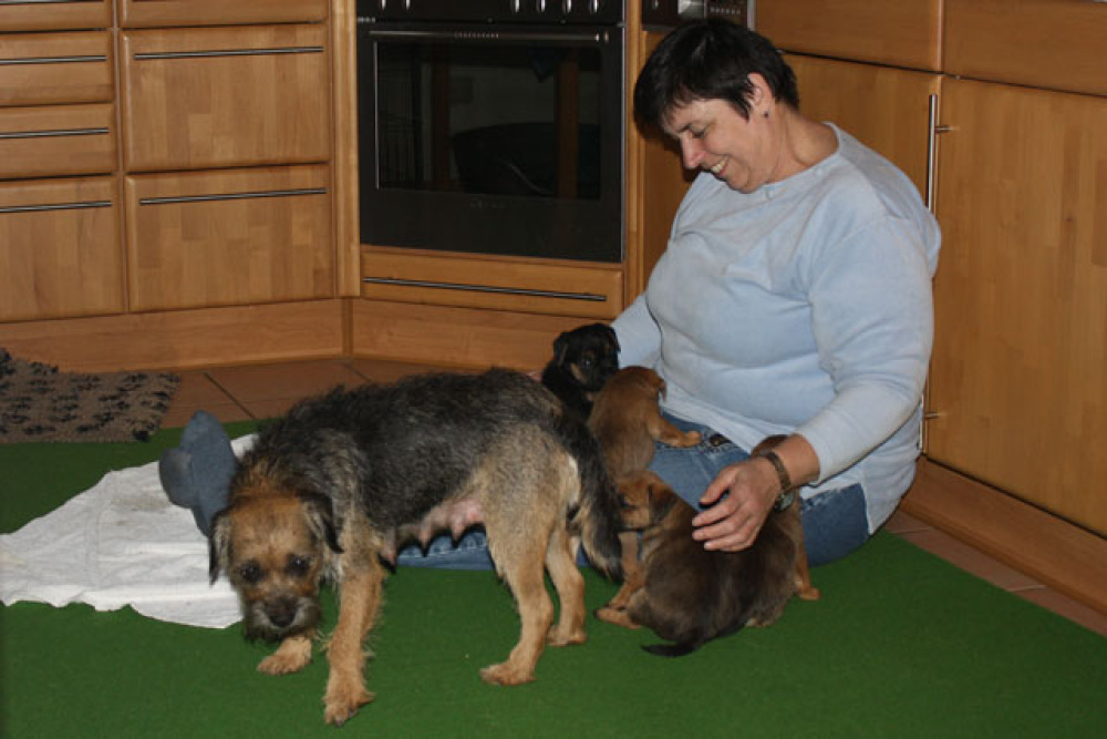 D-Wurf-5te_Woche_1_014