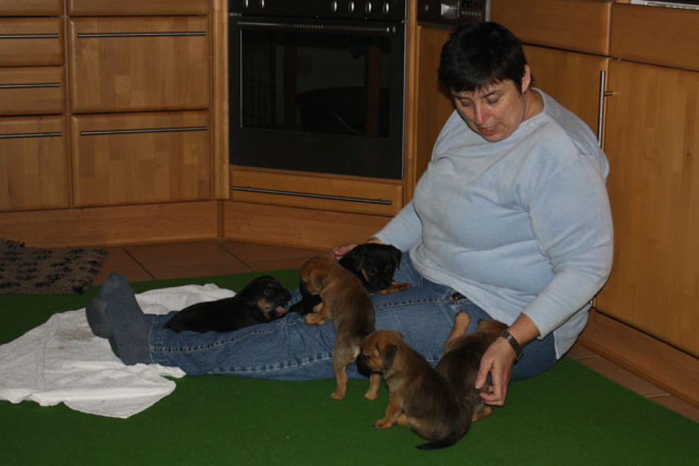 D-Wurf-5te_Woche_1_015