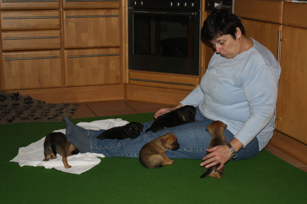 D-Wurf-5te_Woche_1_016