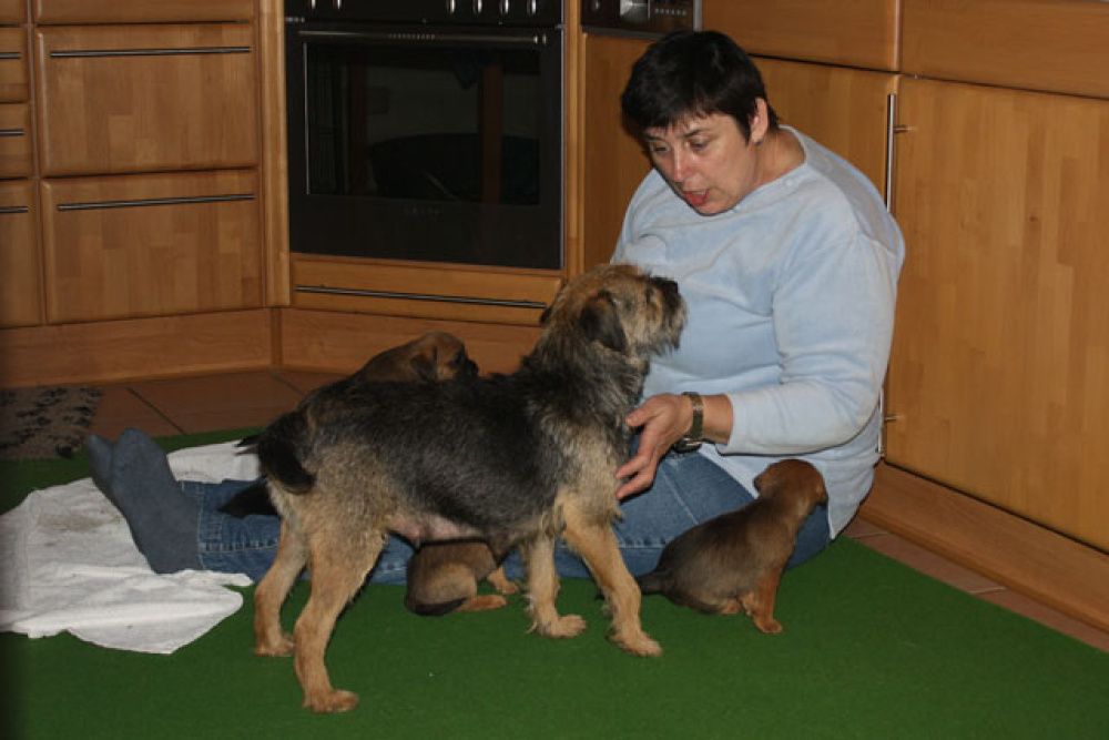 D-Wurf-5te_Woche_1_017