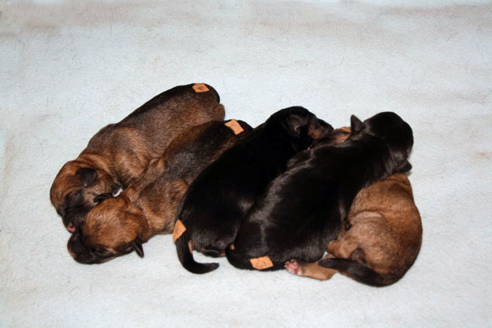 2012-02-20_Tag_4_0001