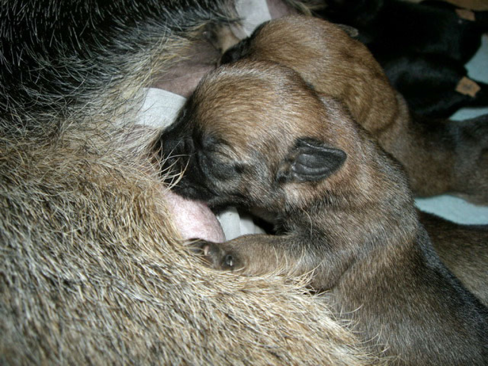 2012-02-20_Tag_4_0002