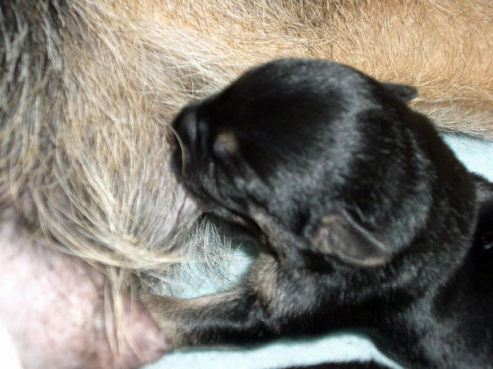 2012-02-20_Tag_4_0003