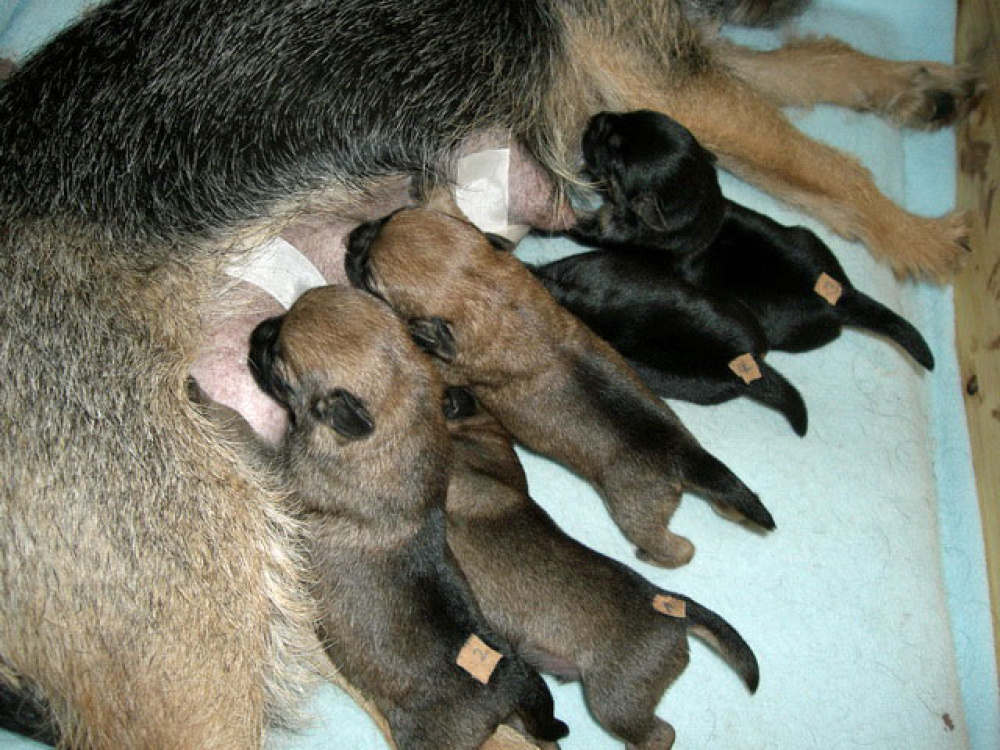 2012-02-20_Tag_4_0004