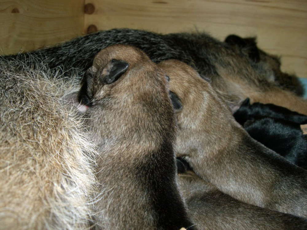 2012-02-20_Tag_4_0005