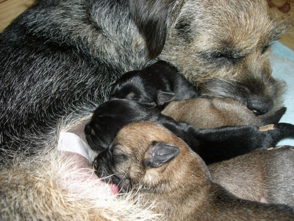 2012-02-20_Tag_4_0006