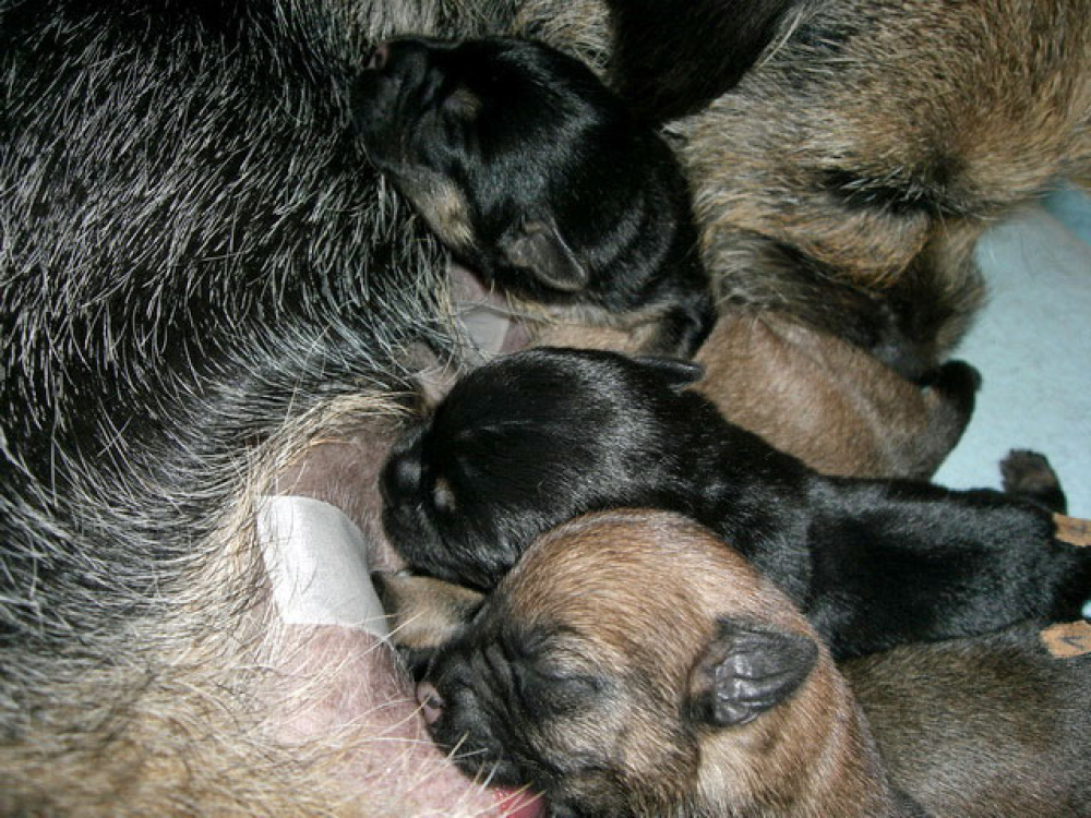 2012-02-20_Tag_4_0007