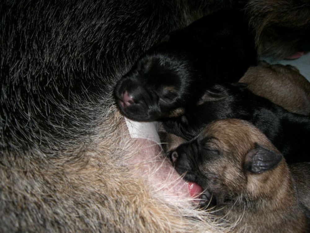 2012-02-20_Tag_4_0008