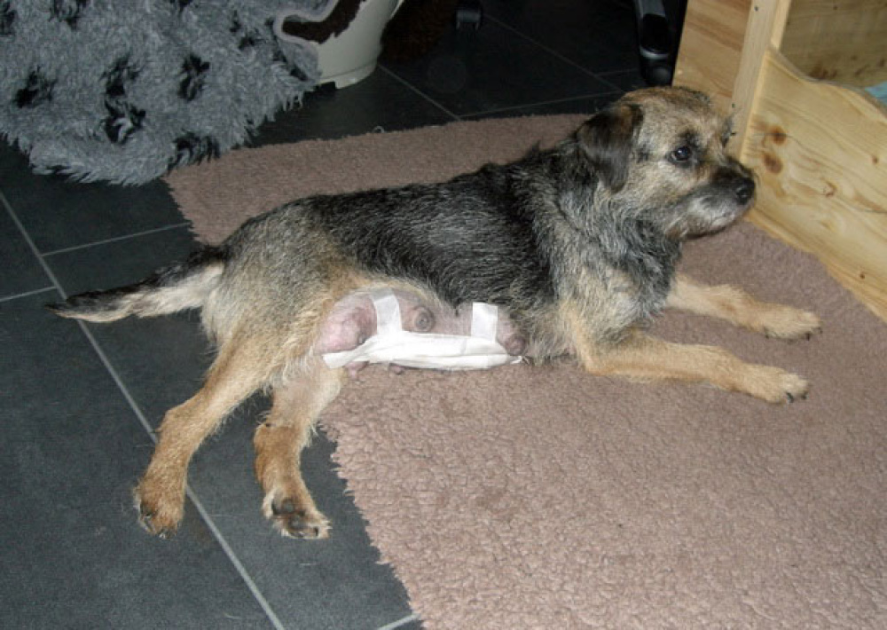 2012-02-20_Tag_4_0009