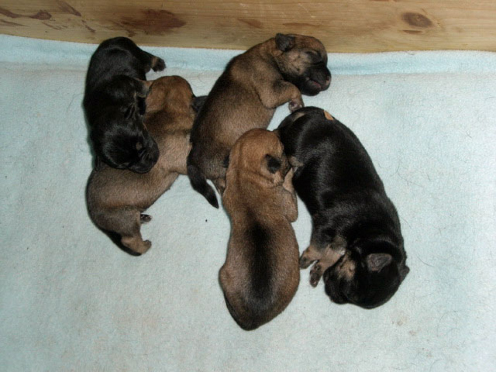 2012-02-20_Tag_4_0010