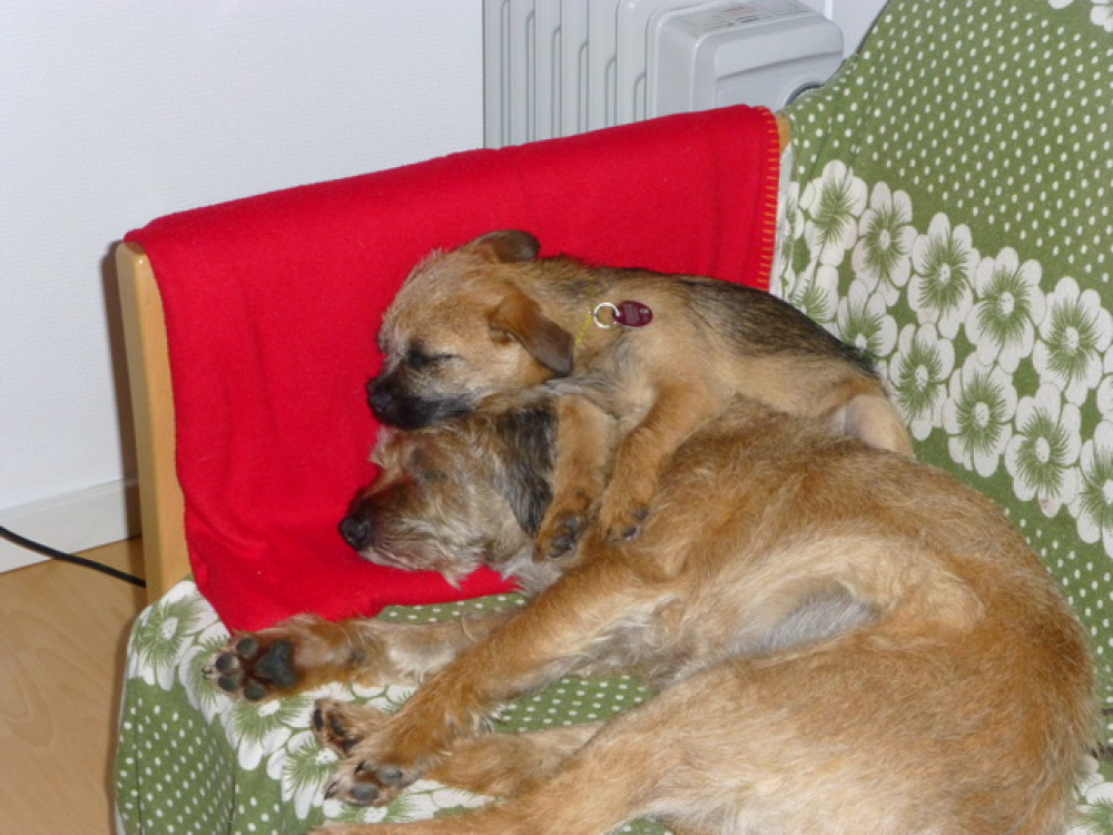 Fortuna_its_Emmy_001