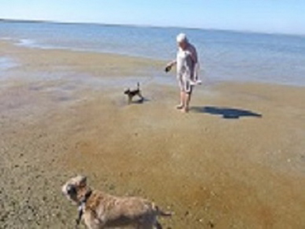 Fortuna_its_Emmy_002