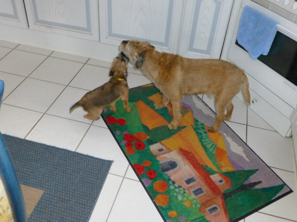 Fortuna_its_Emmy_004