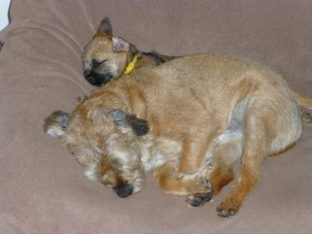 Fortuna_its_Emmy_005