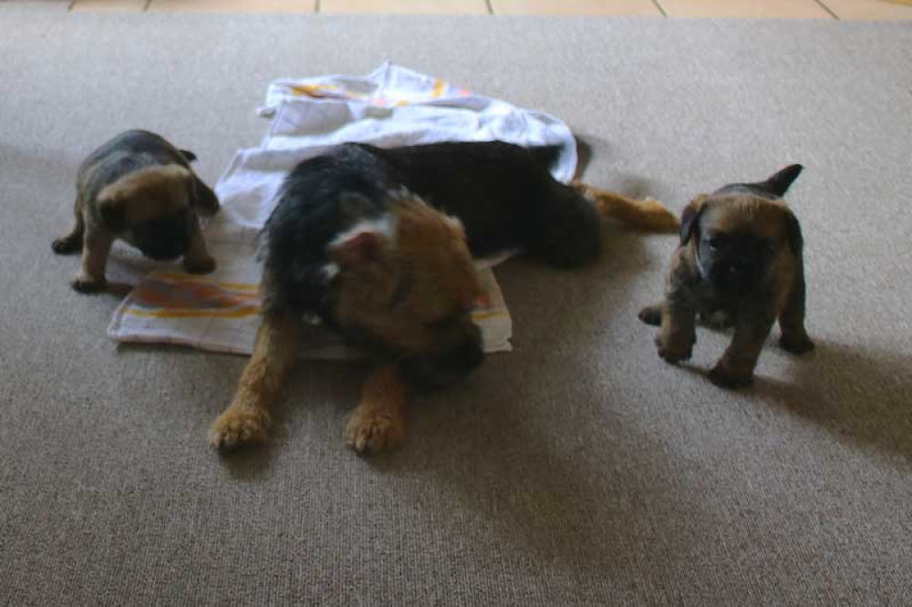 J-Wurf-Juli-2018-002