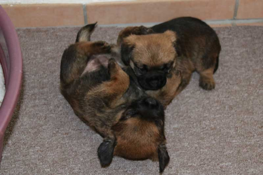 J-Wurf-Juli-2018-004