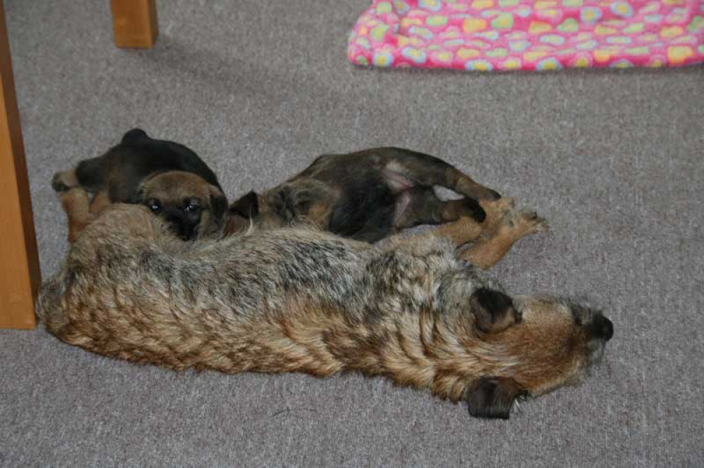 J-Wurf-Juli-2018-005