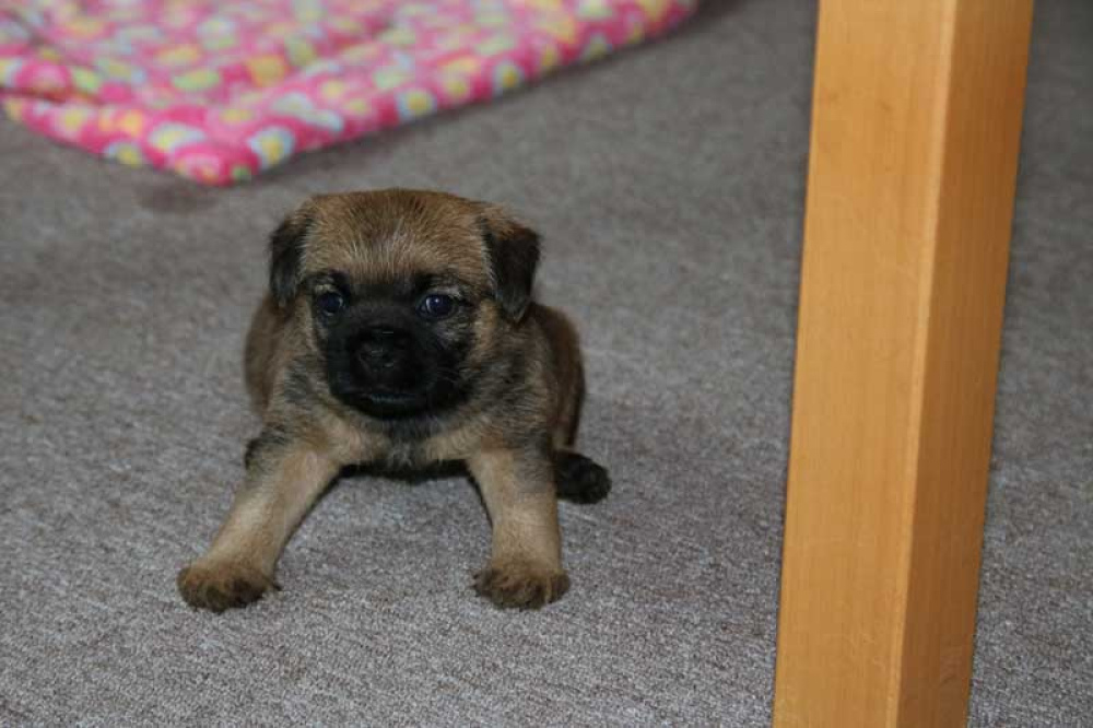 J-Wurf-Juli-2018-010