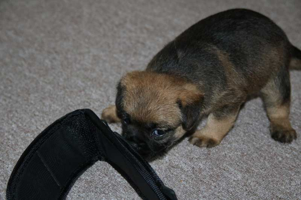 J-Wurf-Juli-2018-011