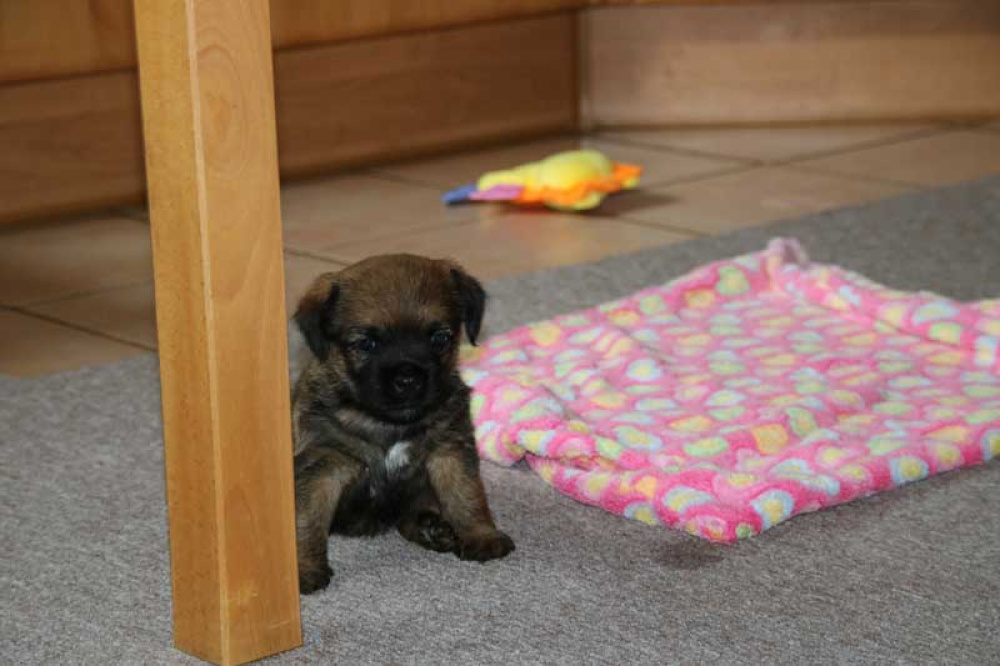 J-Wurf-Juli-2018-012