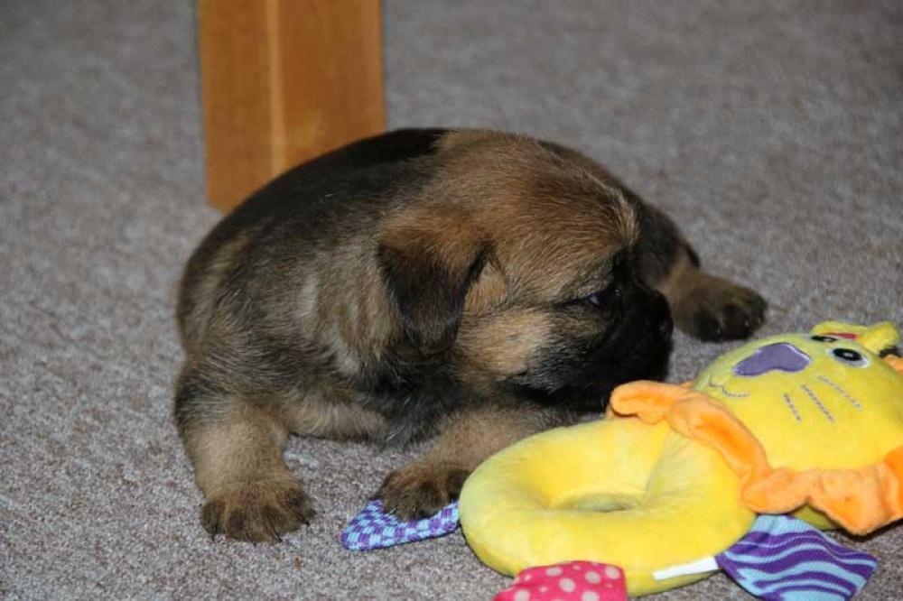 J-Wurf-Juli-2018-013