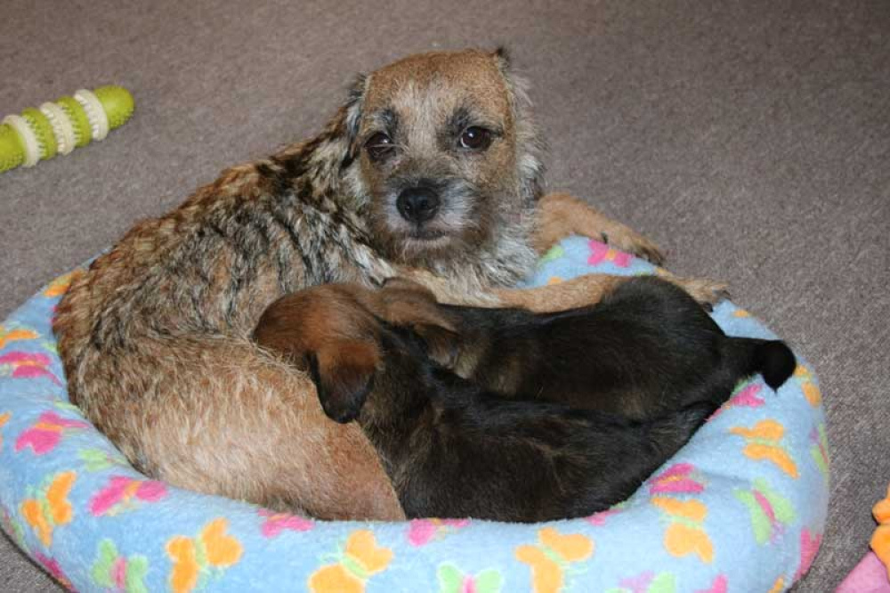 J-Wurf-Juli-2018-014