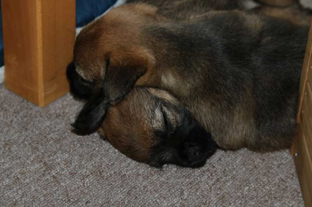 J-Wurf-Juli-2018-019