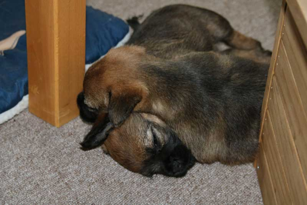 J-Wurf-Juli-2018-020