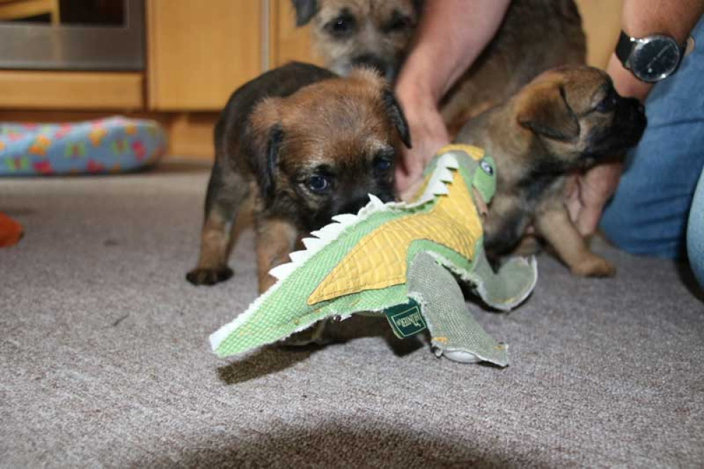 J-Wurf-Juli-2018-021