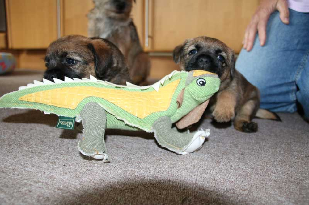 J-Wurf-Juli-2018-023