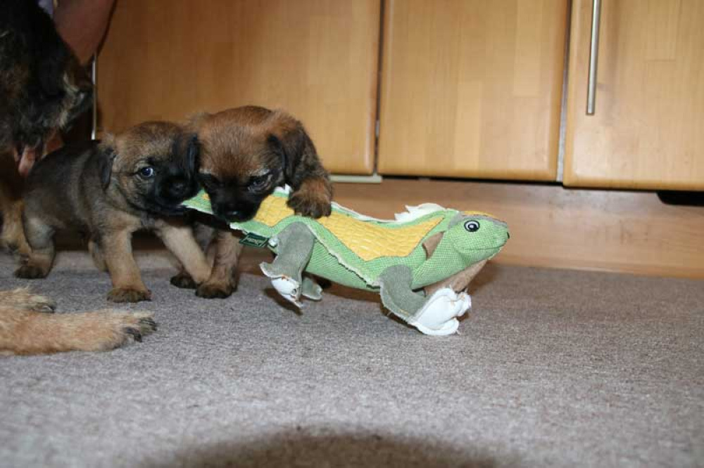 J-Wurf-Juli-2018-025