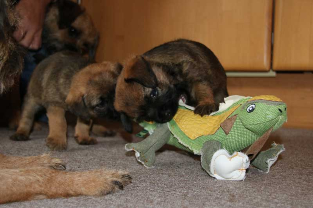 J-Wurf-Juli-2018-026