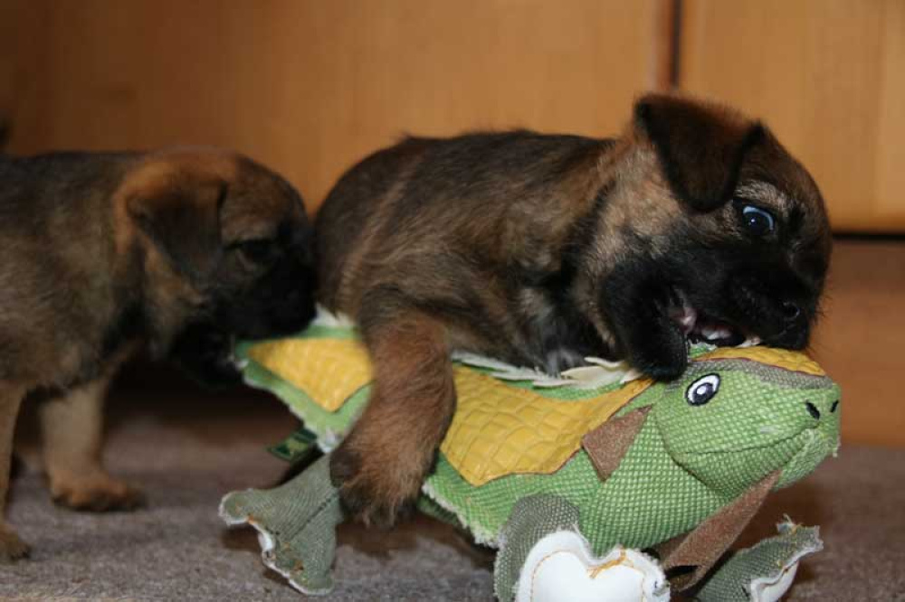 J-Wurf-Juli-2018-027