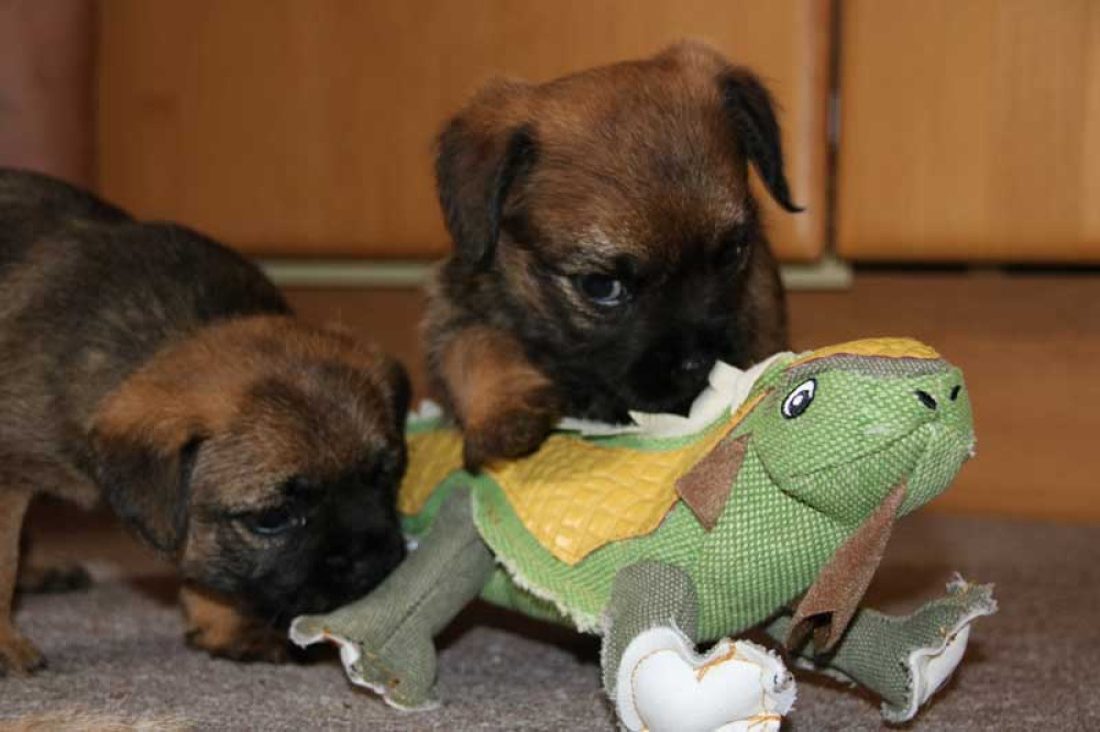 J-Wurf-Juli-2018-028