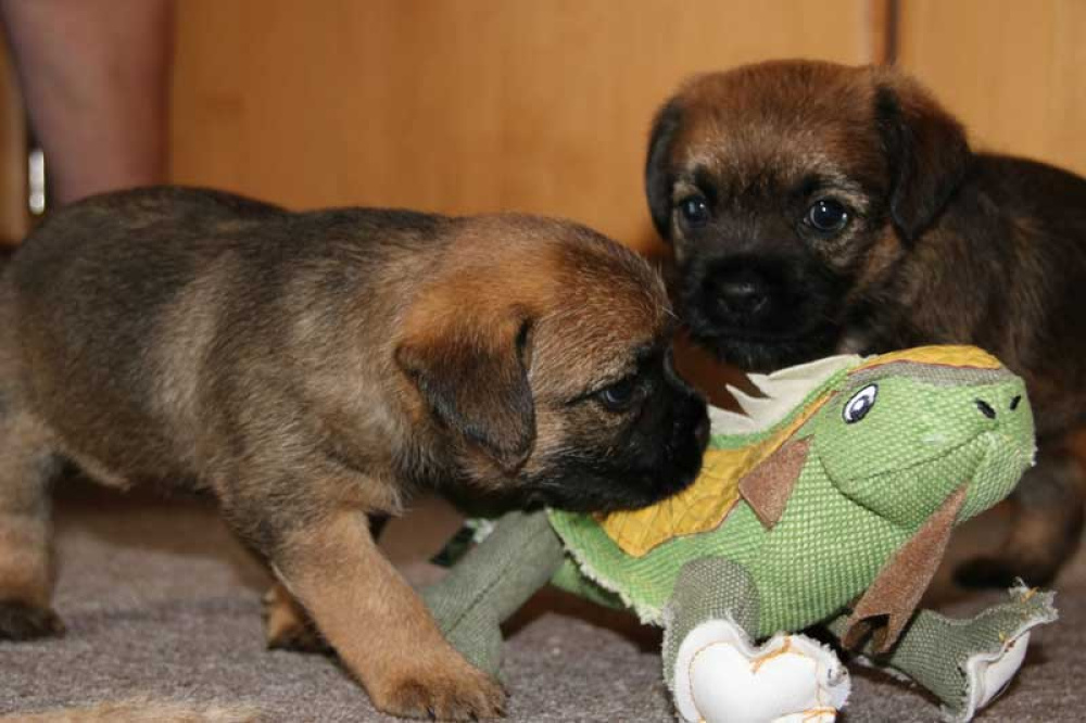 J-Wurf-Juli-2018-029