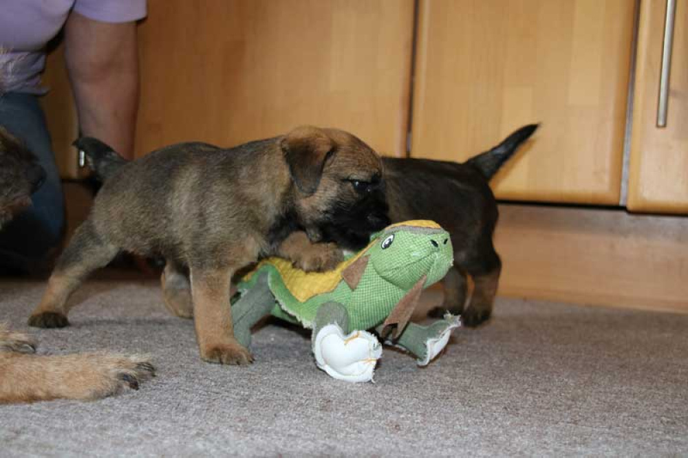 J-Wurf-Juli-2018-030